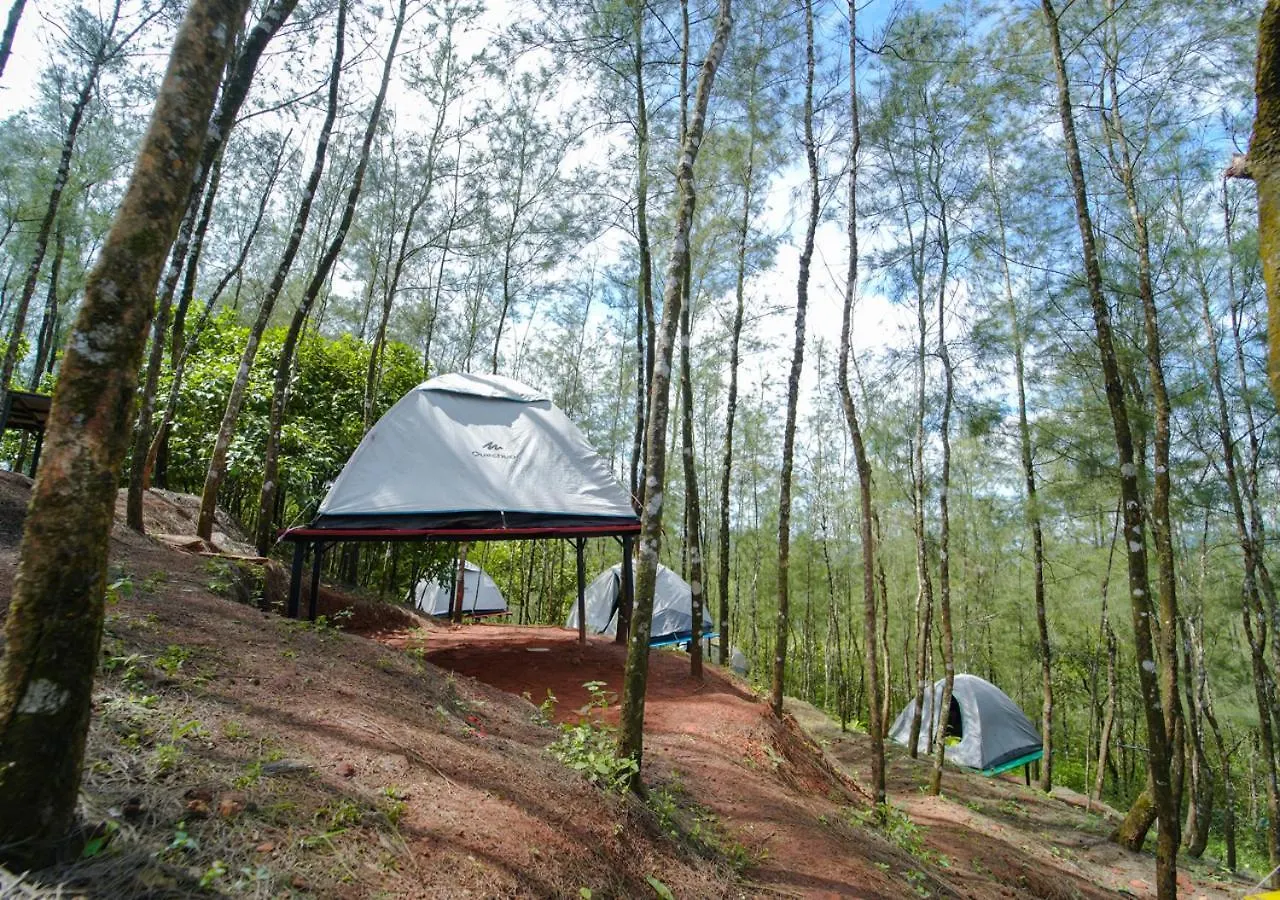 リゾート Pine Malhar Pool Stay By Voye Homes Attappādi インド
